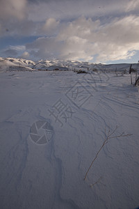 清晨寒雪平原     农村下雪户外场景f墙纸大雪地平线草地季节阳光日落太阳天空冷冻图片