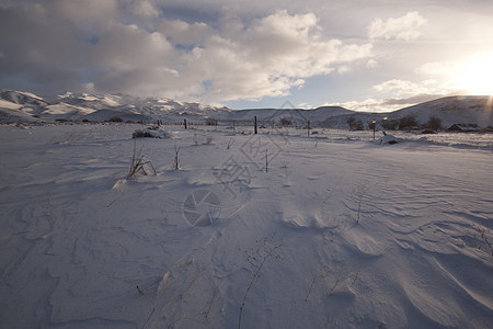 清晨寒雪平原     农村下雪户外场景f日落阳光冷冻草原天空大雪射线火花季节草地图片