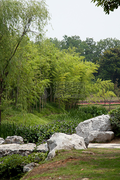 中国的Wald Wald花园建筑生活文化植物学竹子法治热带风水自然界图片