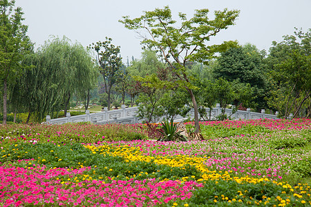 丝状西湖旅游业自然界烟熏花园公园图片