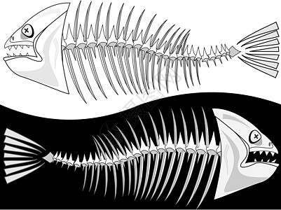 鱼骨的骨头图片
