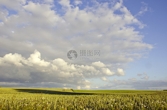 农村夜间风景图片