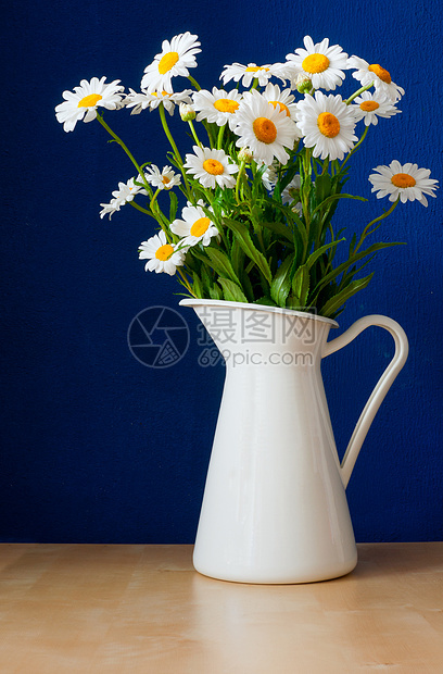 处理器中的氧乳奶陶瓷白色植物黄色水壶制品雏菊乡村花瓶季节图片