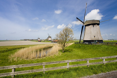 荷兰阿尔克马尔附近的风车旅行世界位置外观建筑学图片