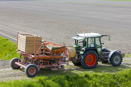 荷兰田间拖拉机植物车辆乡村栽培国家农具场地农场外观农村图片