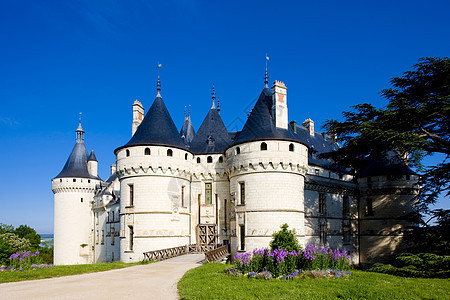 法国城堡中心 法国建筑花朵世界宫殿旅行建筑物历史外观世界遗产景点图片