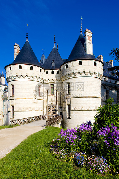 法国城堡中心 法国景点建筑纪念碑旅行建筑物宫殿世界历史花朵外观图片