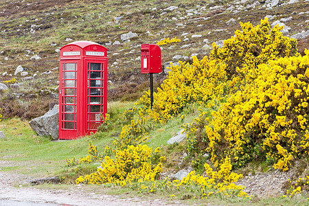 苏格兰Laid附近电话亭和信箱邮政衬套黄色邮件公用电讯外观红色电话植物群图片