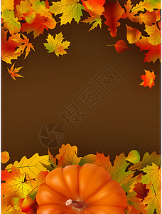 秋天有休假的总结背景叶子插图卡片创造力墙纸夹子框架花园季节绿色图片