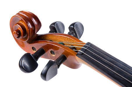 紧闭火林床单古董乐器音乐家大提琴音乐中音音乐会打印艺术图片