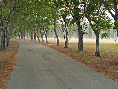 公园道路民众薄雾风景农村阴霾旅行国家绿色叶子森林图片