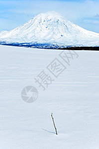 火山地震灾难旅游野生动物图片