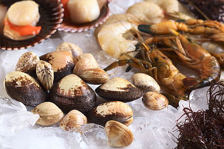 冰上藻类和其他海产食品贝壳照片贝类壳类扇贝美食食物美味水平柜台图片