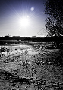 风景森林天气国家场地公园暴风雪气候降雪小路车道图片