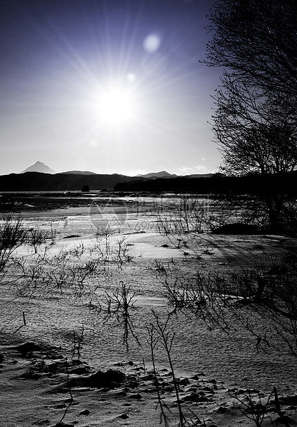 风景森林天气国家场地公园暴风雪气候降雪小路车道图片