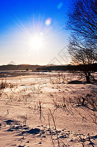 风景车道农村场景美丽孤独童话小路大路公园降雪图片