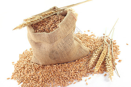 袋装谷物棕色农业世界麦穗收成密封颗粒谷类粒状贸易图片
