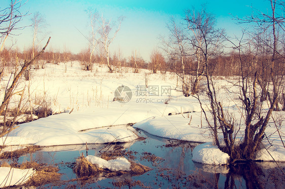 冬季风景旅行美丽小路森林车道公园孤独季节农村气候图片