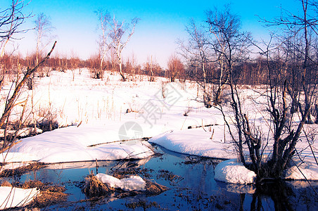 冬季风景美丽公园旅行雪花农村童话国家场景车道季节图片