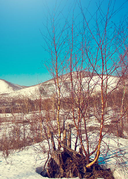 风景孤独国家旅行季节小路森林大路降雪场景暴风雪图片