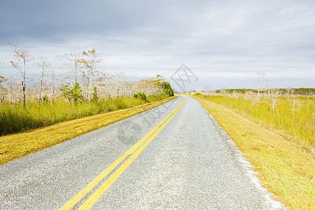 美国佛罗里达州Everglades国家公园位置旅行公路np运输道路风景自然保护区世界外观图片