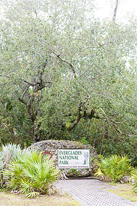 美国佛罗里达Everglades国家公园入口外观沼泽地世界np植被位置旅行自然保护区图片