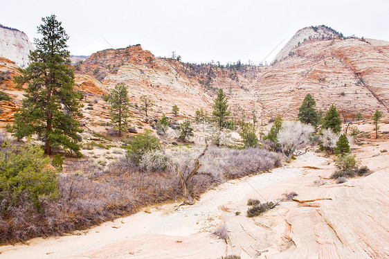美国犹他州犹他外观岩石自然现象孤独地质学岩层风景干旱构造旅行图片