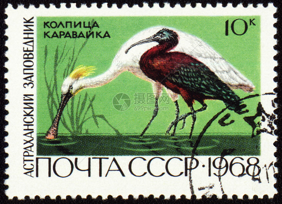 邮戳上的勺子和ibis图片