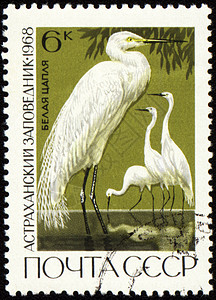 邮戳上印章的Egret图片