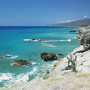 古巴加勒比海 省海岸线 加勒比海植物学孤独旅行世界海岸海景支撑风景植物岛屿图片