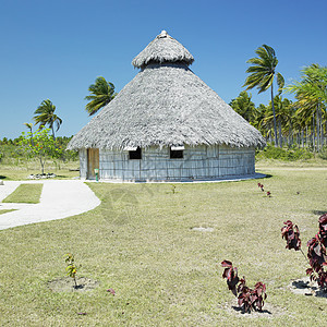 的土著小屋示范棕榈手掌旅行棚屋住宅世界位置热带外观图片