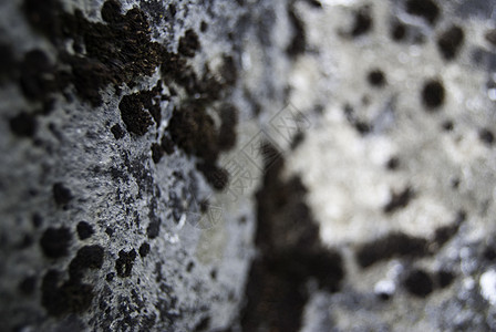 单位数环境海景材料花岗岩海水矿物岩石海藻植物群石头图片