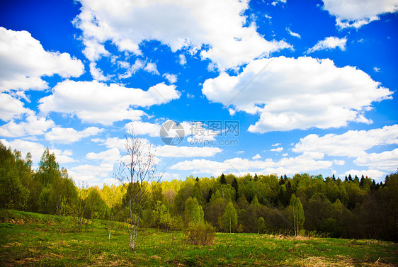 春林和蓝天空 有白云图片