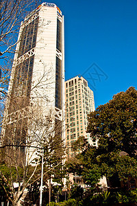 sydney 天线景观城市房子摩天大楼港口旅游风景地标旅行剧院图片