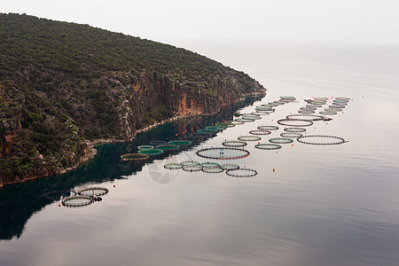 近海公海公海鱼类农场外壳养殖海岸线沿海水产海洋海景海岸渔业圆圈图片