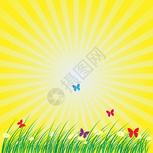 夏季  春季自然背景季节性射线蝴蝶洋甘菊黄色插图蓝色季节草地天空图片