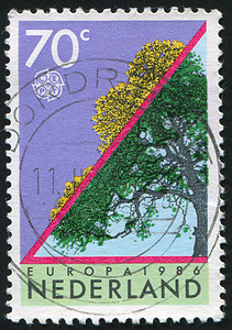 邮票蓝色信封植物集邮海豹树叶古董角落紫色分支机构图片
