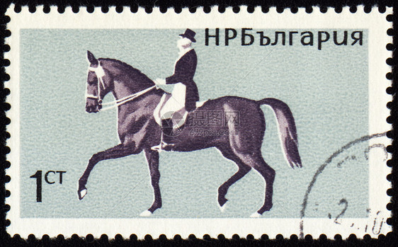印章上骑马的马图片