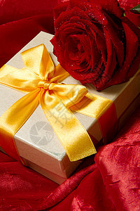 现箱和红玫瑰丝带庆典生日惊喜礼物念日展示植物群精神红色图片