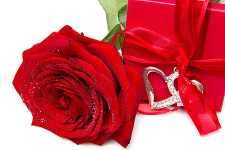 现箱和红玫瑰念日奉献惊喜精神盒子丝带红色礼物白色玫瑰图片