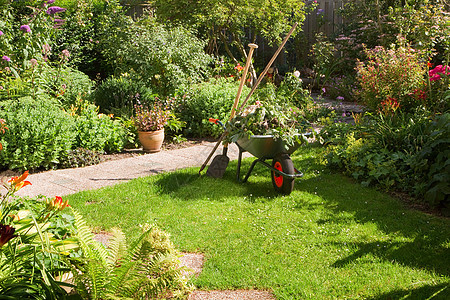 在花园里用手推车工作独轮车乐趣杂草厨房后院院子石头植物园丁修剪图片