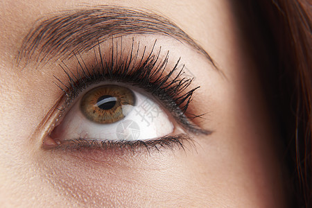 双眼女士护理睫毛膏瞳孔女性棕色身体睫毛反射皮肤图片