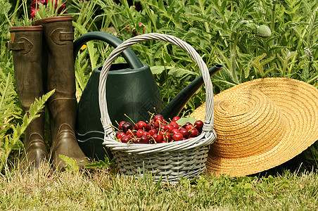 樱桃花园绿色蔬菜手套靴子收成乡村水果篮柳条文化环境图片