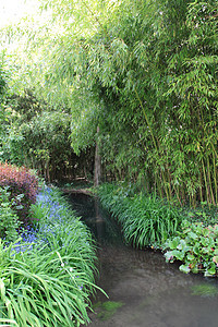 乐园中的河流池塘旅行花园季节小路场景植物公园反射叶子图片