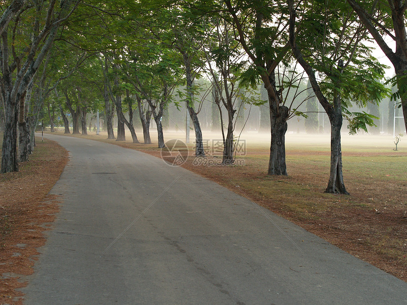 公园道路阴霾国家民众薄雾绿色风景旅行森林小路叶子图片