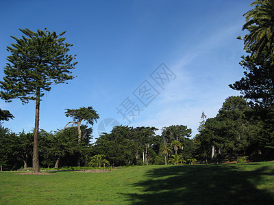 旧金山的公园地标旅游旅行海洋天空高尔夫球课程蓝色树木交通图片