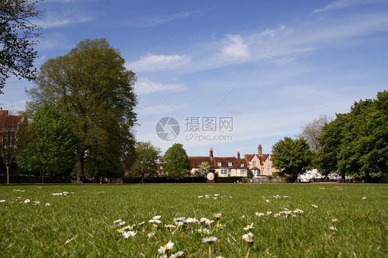 英国绿色绿草草地图片