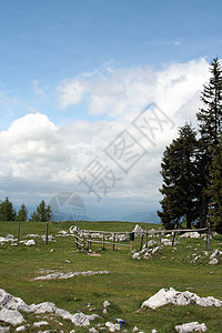 阿尔卑山草地美丽场景天空场地乡村阳光爬坡绿色季节牧场图片