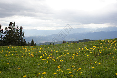 阿尔卑山草地天空快乐季节绿色阳光蓝色房子场地牧场高山图片