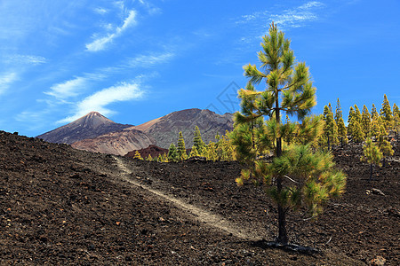 特内里费火山地表图片